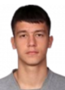 Mihajlo Ilic logo