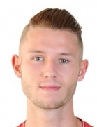 Dominik Lanius logo
