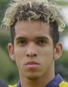 Johan Mina logo