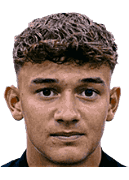 Will Alves logo