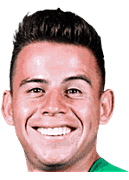 Henry Vaca logo