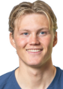 Halldor Stenevik logo