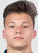 Dmitri Vasiljev logo