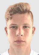 Valentin Paltsev logo