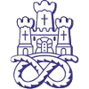 Newcastle Town FC logo