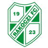 Kaposvar logo