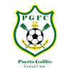 Puerto Golfito logo