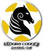 Kildare County logo