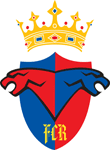 FC Rapid Ghidighici logo