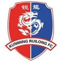 Dali Ruilong logo