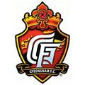 Gyeongnam FC (dự bị) logo