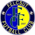 U21 Puskas Akademia Felcsut logo