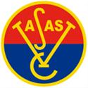 U21 Vasas logo