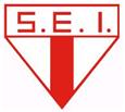U17 Palmeiras FC logo
