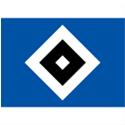 U19 Hamburger logo