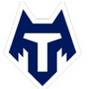 Tambov logo
