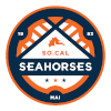 So Cal Eagles logo