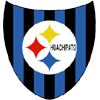 Huachipato U20 logo