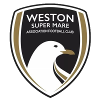 Weston Super Mare logo