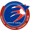 Mbabane Swallows logo