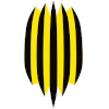 Rukh Vynnyky U19 logo