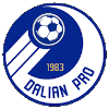 Dalian Professional U21 logo