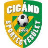 Cigand SE logo