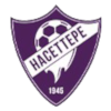 Hacettepe S.K. logo