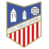 CD Artistico Navalcarnero logo